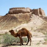 Adventure to the Aral Sea in Karakalpakstan — off-road safari across Ustyurt plateau with camping in yurts under desert skies Приключение на Аральское море в Каракалпакстане — сафари по плато Устюрт на внедорожнике с ночёвкой в юртах под звёздным небом пустыни