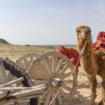 Off-road journey to the Aral Sea — discover desert landscapes, Muynak’s ship graveyard and Karakalpakstan culture in a yurt camp Путешествие на внедорожнике к Аральскому морю — открытие пустынных ландшафтов, кладбища кораблей Муйнака и культуры Каракалпакстана в юртовом лагере