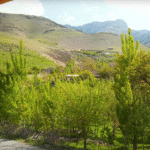 Путешествие в горное узбекское село Нуратау — этнографический тур Uzbekistan mountain village trip in Nuratau — authentic Silk Road experience