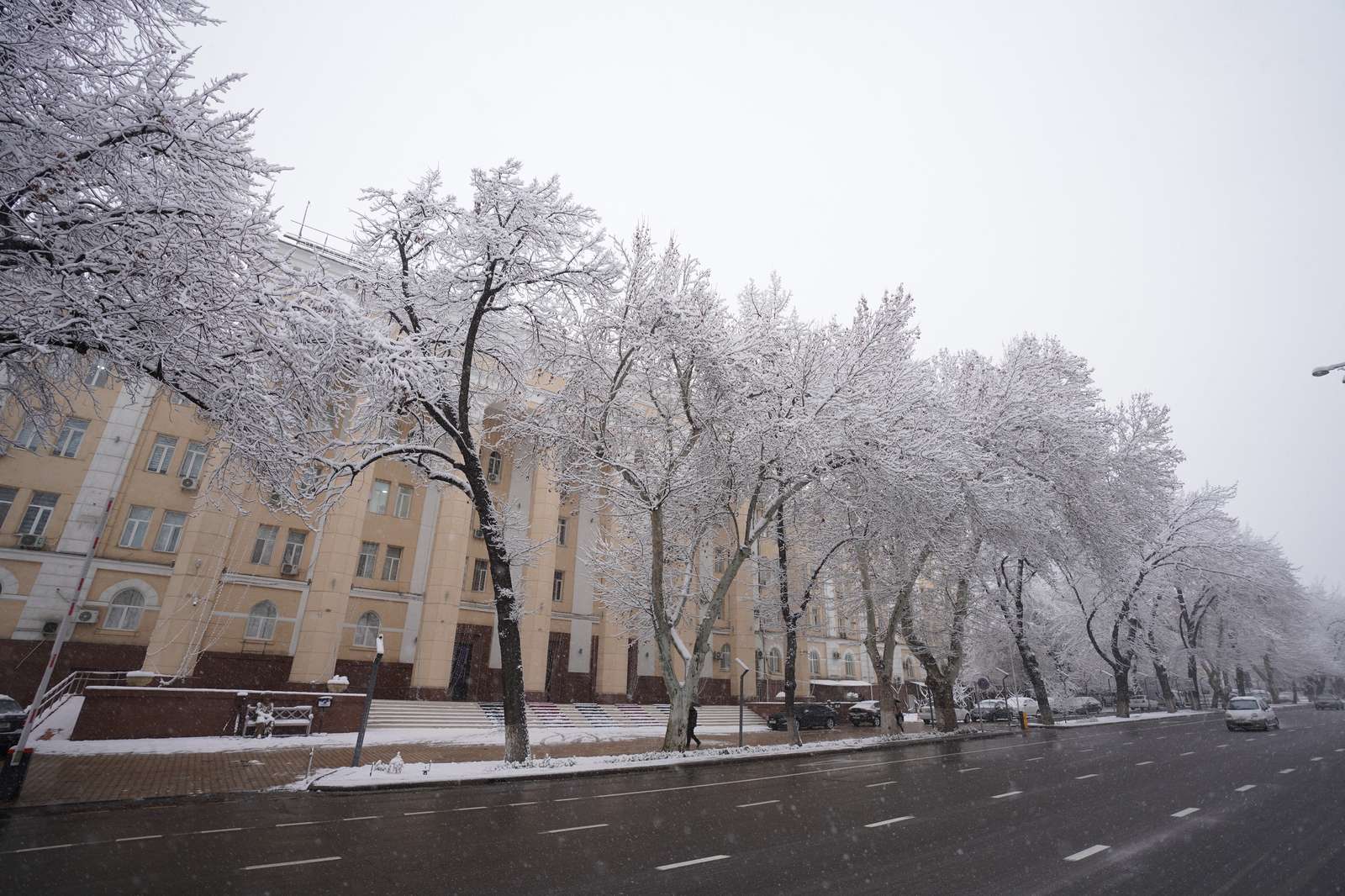 塔什干纳沃伊大街上的雪