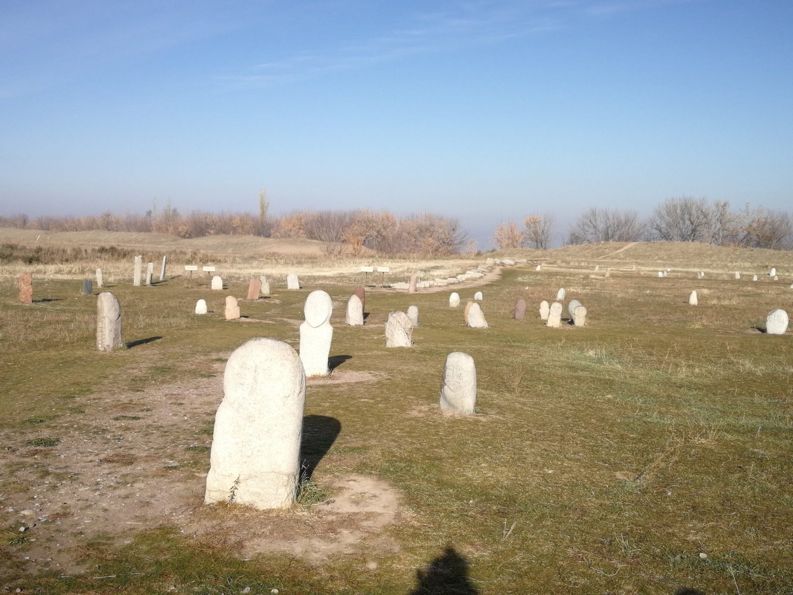 Balbals, estelas funerarias de piedra, junto a la torre Burana