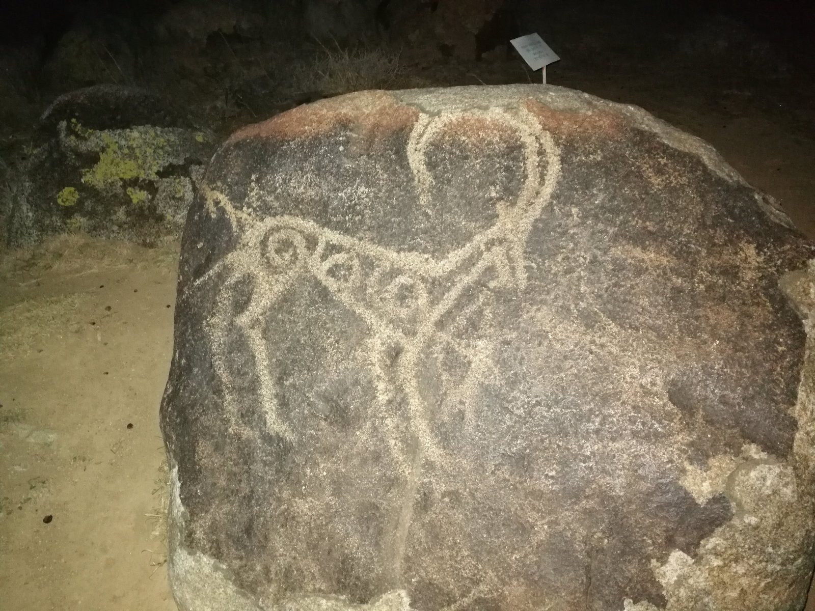 Uno stambecco inciso su un masso a Cholpon-Ata