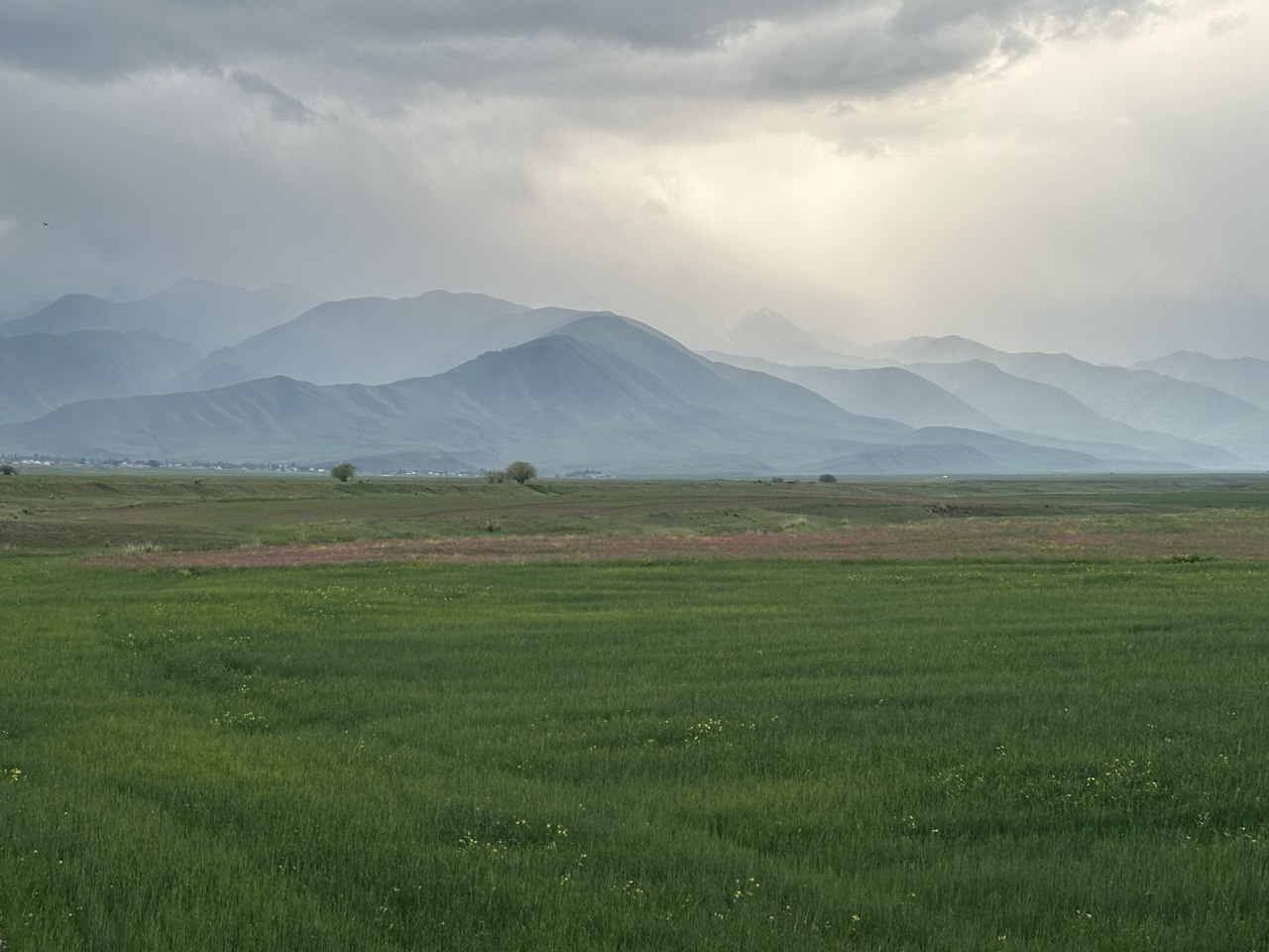 Rain clouds over a green valley in early summer
