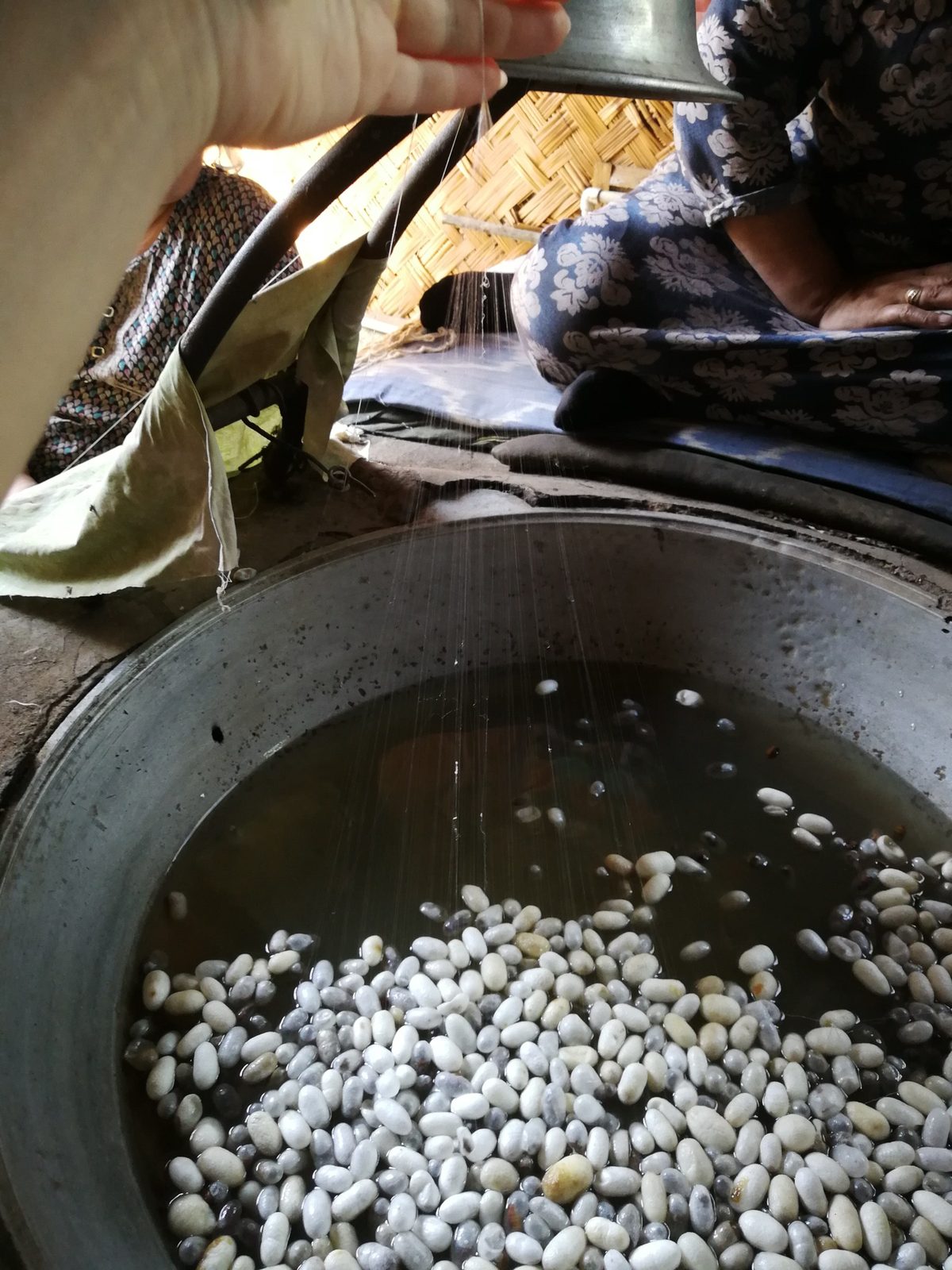 Cocoons in hot water at Yodgorlik: the softened gum lets the filament unwind