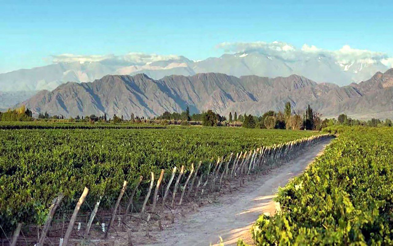 Uzumfermer winery
