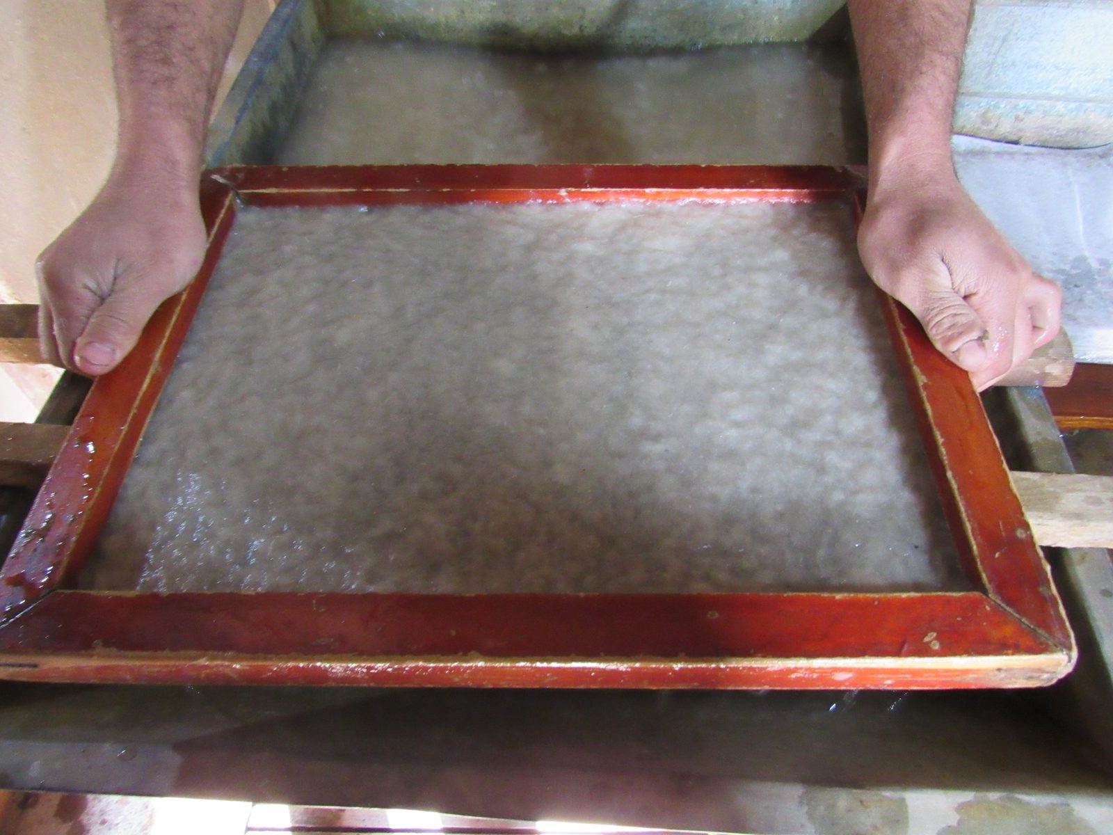 Mulberry pulp on a paper mould in Konigil