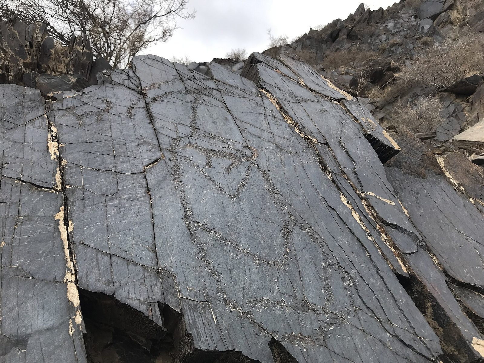 Dark slate slabs with carved outlines on a slope of the gorge