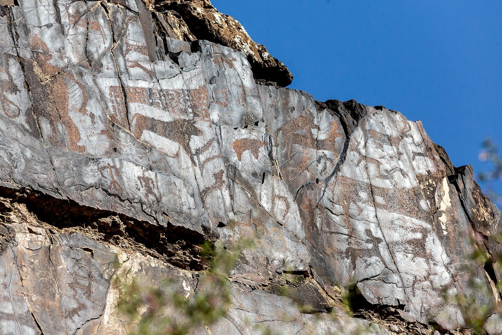 A rock face crowded with ancient carvings in the Sarmysh gorge