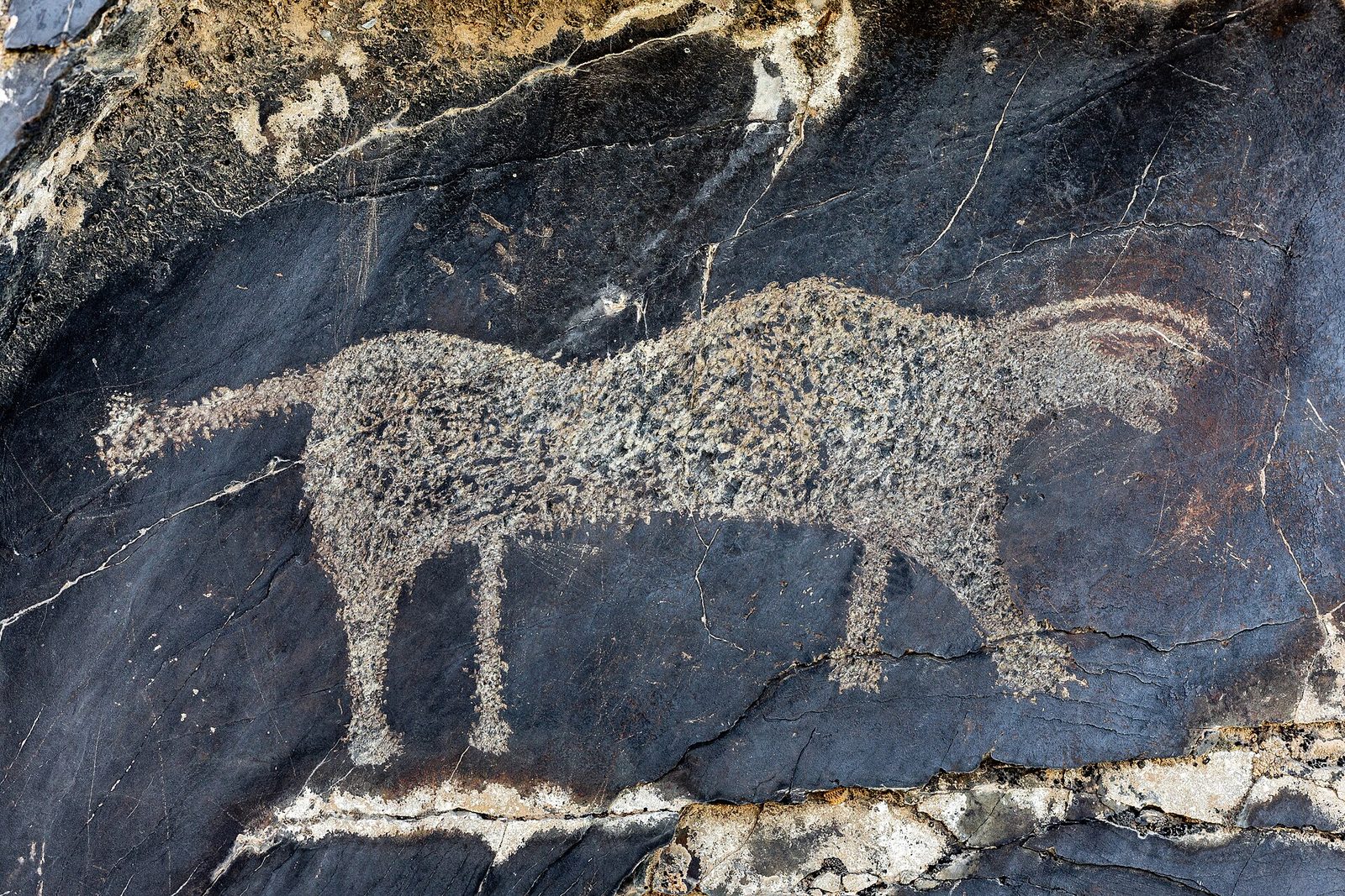Sarmysh Gorge petroglyphs near Navoi, and what to see on the way